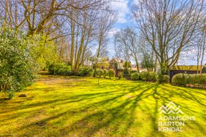 Photo 41- click for photo gallery